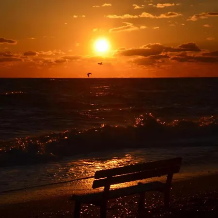Majson Ej * Civitanova Marche